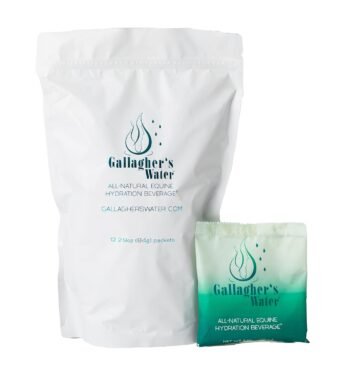 Gallagher's Water 12 Pack All-Natural Equine Hydration Treat - Enhancement Powder Mix Horse Drink Treat to Help Encourage to Drink Water - Made with All Natural Ingredients, FEI...