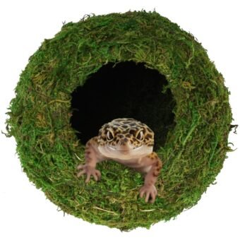 Mossy Caves, Artificial Green Moss Caves Hide for Pet Reptile Frogs and Snakes, Terrarium & Vivarium Decor, Crested Gecko Tank Decor (4" - Woodland Green)
