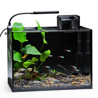 NICREW 2.5 Gallon Nano Nature Aquarium Kit, Ultra-Clear Rimless Desktop Fish Tank with Light, Filter, Gravel and Rock, Perfect for Small Fish, Shrimp, or Betta, Complete Version