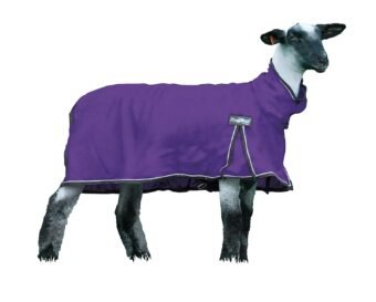 Weaver Livestock ProCool Sheep Blanket